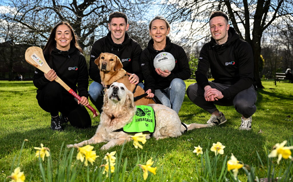 The GPA partners with Irish Guide Dogs for the Blind for 2025